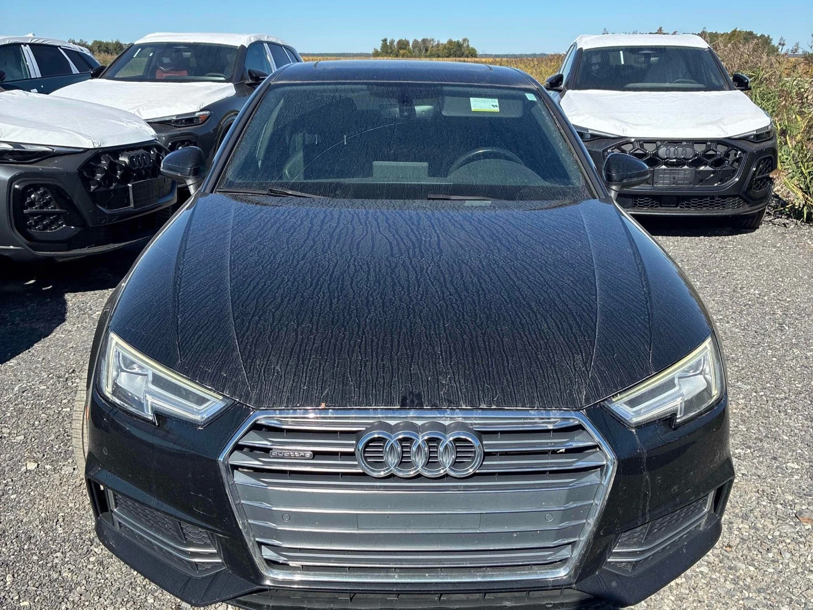 Audi A4 | PROGRESSIV | S LINE | ���� �� �� & ���������� | Mobile.bg � ����������� 2