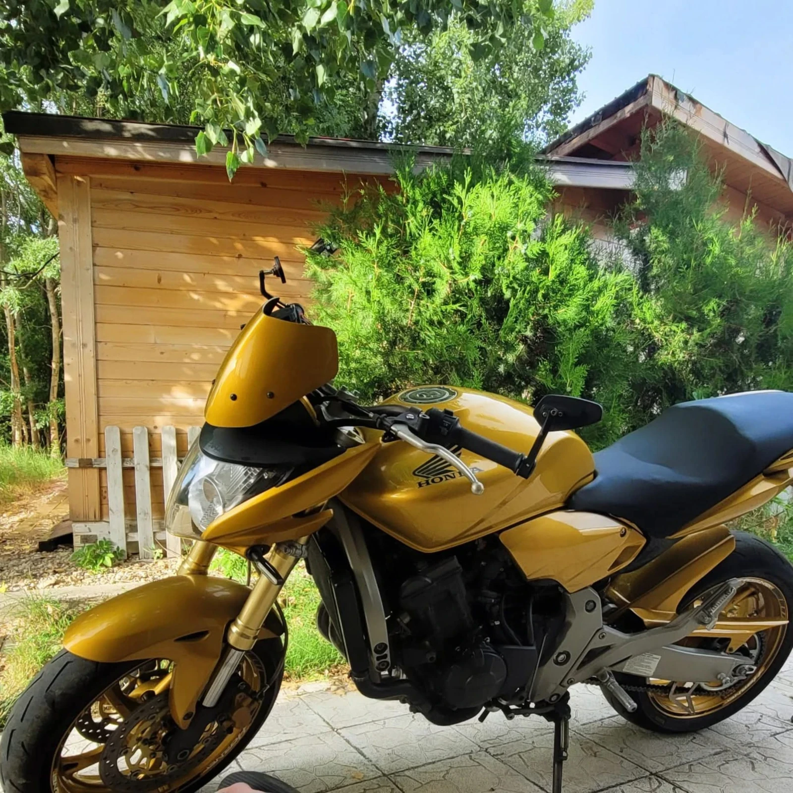 Honda Hornet  - изображение 5