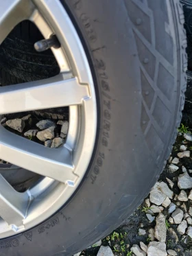 ������ | Mobile.bg � ����� ������ 7