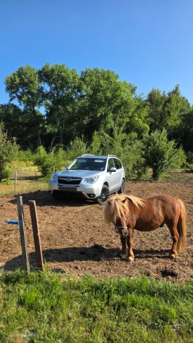 Subaru Forester 2.0i LPG Керамика - 25500 лв. - 54708331 2