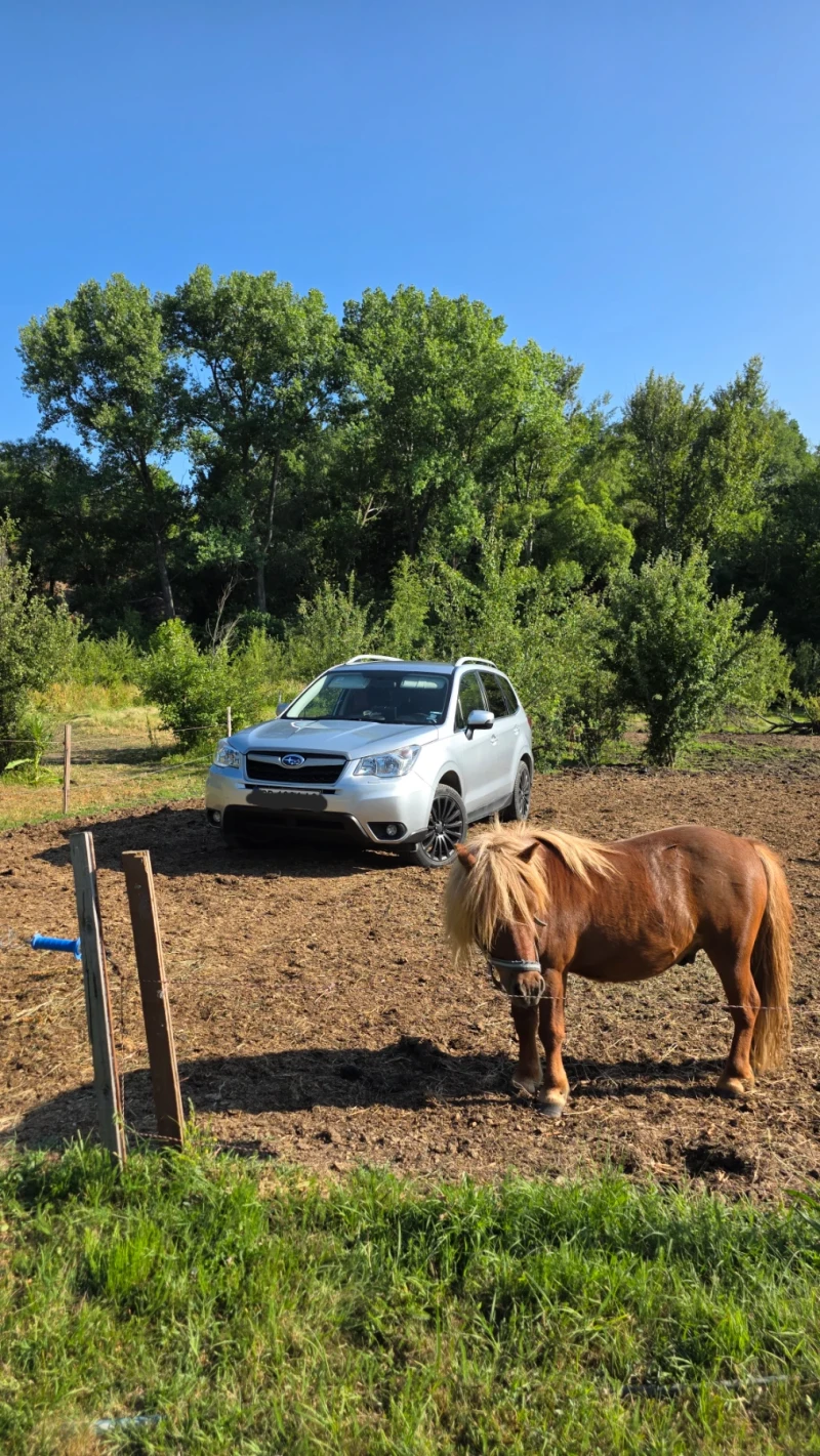 Subaru Forester 2.0i LPG Керамика, снимка 2 - Автомобили и джипове - 52728396