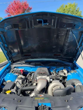 Ford Mustang * GT * 800 + + * ���������� ��� ������������ ����� | Mobile.bg � ����� ������ 9