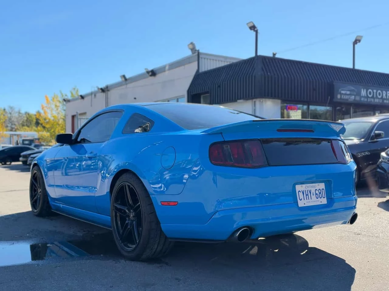 Ford Mustang * GT * 800 + + * ���������� ��� ������������ ����� | Mobile.bg � ����������� 16