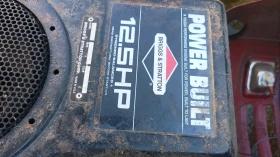 Друг вид Внос Косачка Мурай , снимка 11