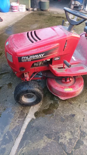 Друг вид Внос Косачка Мурай  - изображение 1