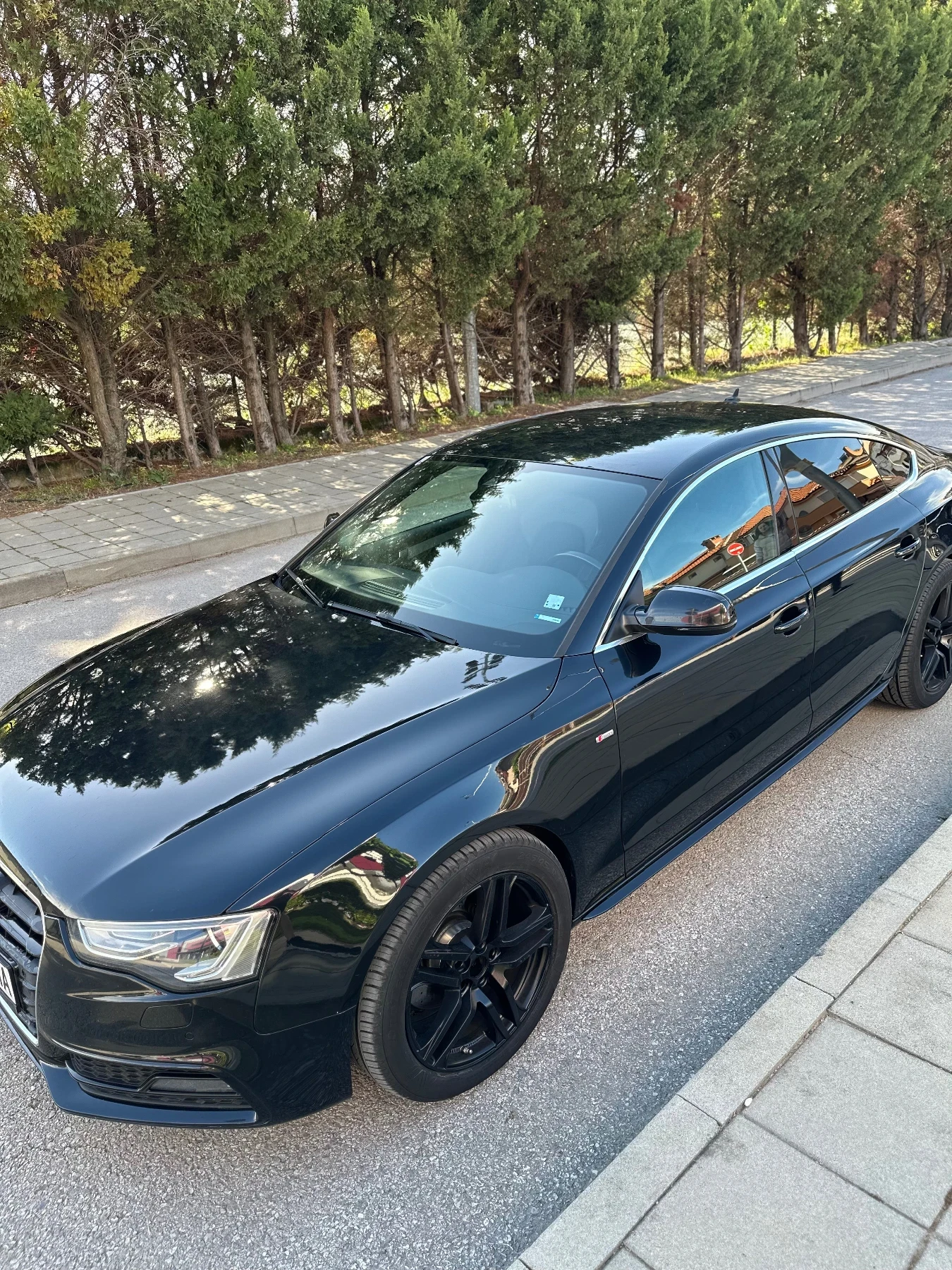 Audi A5 TOP! Sportback Facelift 3.0 TDI Quattro / S-line, снимка 1