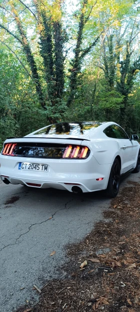 Ford Mustang 3.7  | Mobile.bg    8