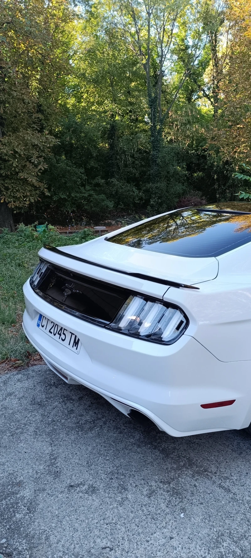 Ford Mustang 3.7 Ръчка, снимка 11 - Автомобили и джипове - 51591300