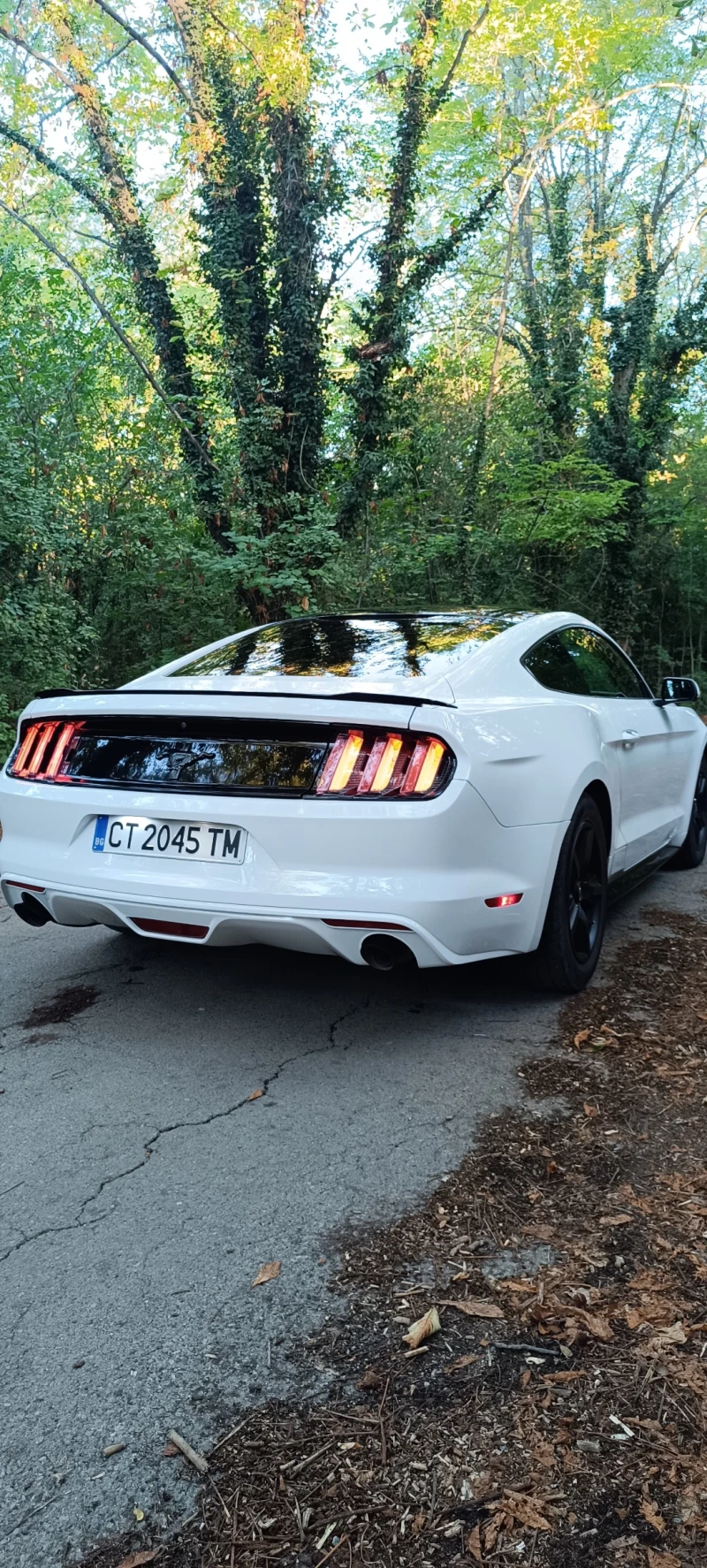 Ford Mustang 3.7 Ръчка, снимка 8 - Автомобили и джипове - 51591300