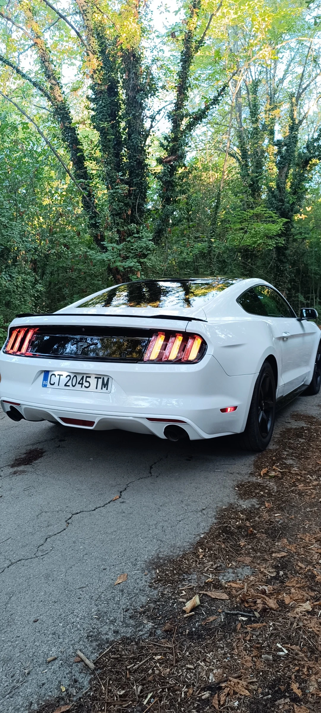 Ford Mustang 3.7 Ръчка - изображение 8