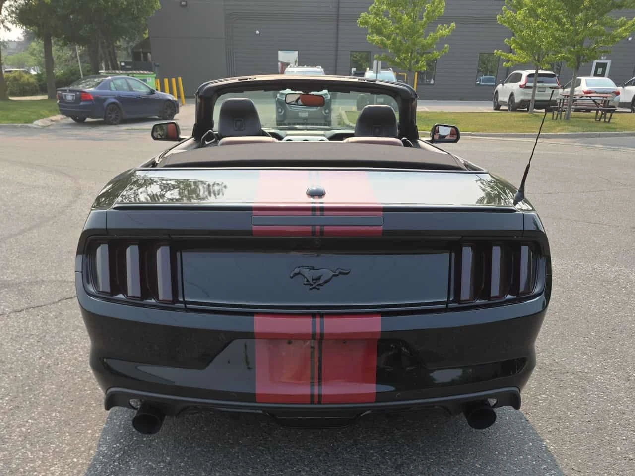 Ford Mustang * EcoBoost Premium * CARFAX * ���� �� �� | Mobile.bg � ����������� 6