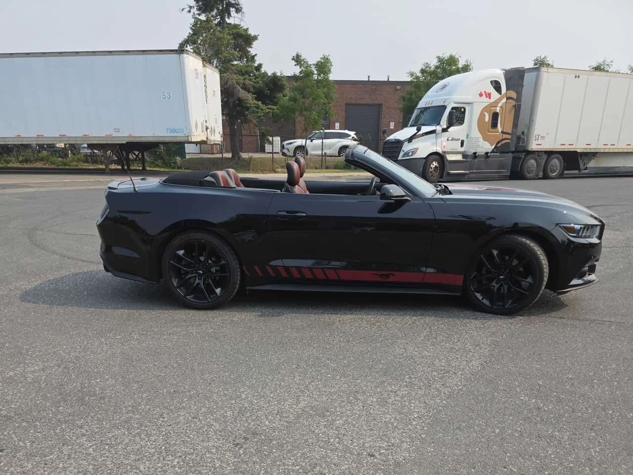 Ford Mustang * EcoBoost Premium * CARFAX * ���� �� �� | Mobile.bg � ����������� 5