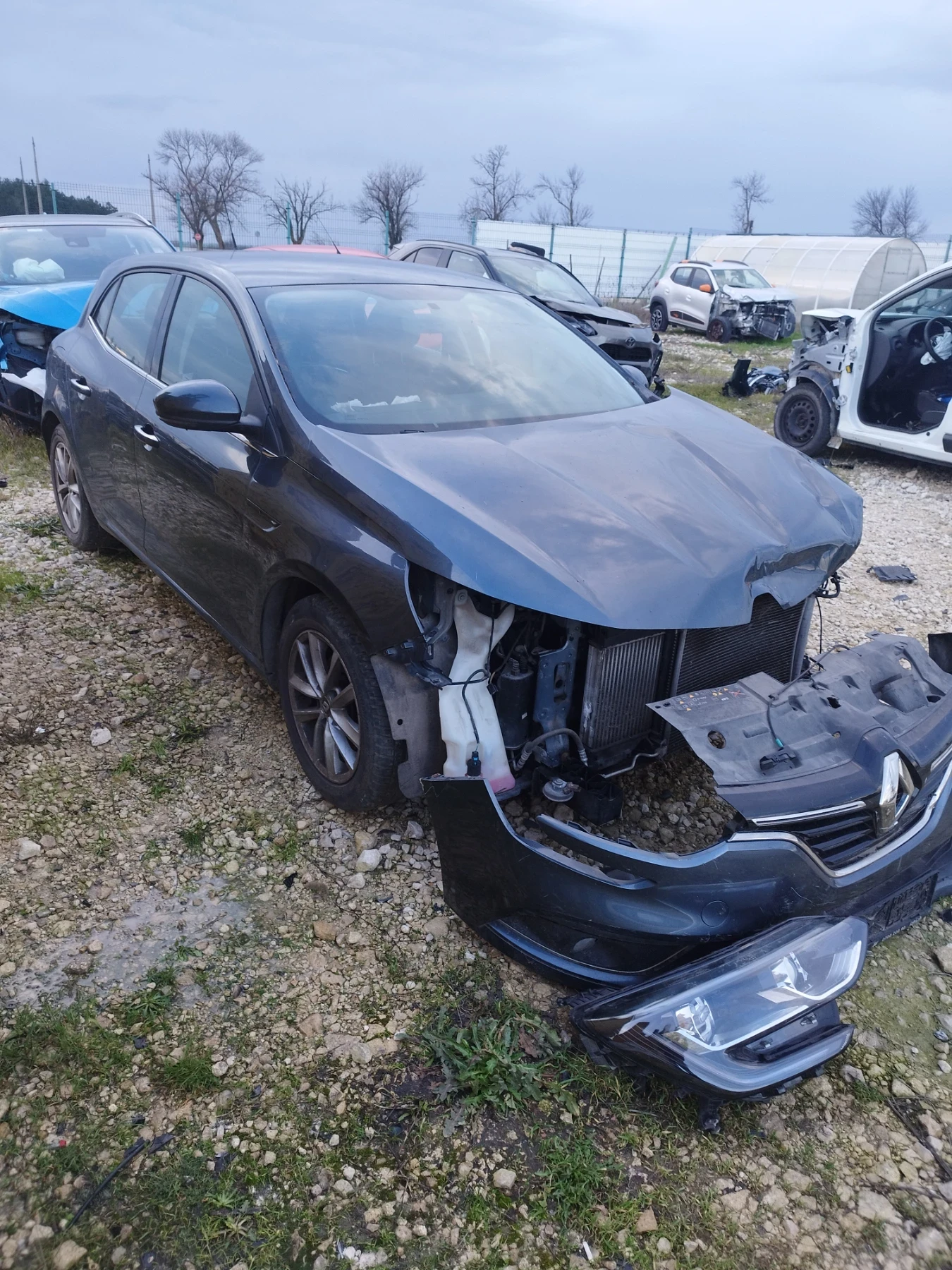 Renault Megane 1.2i H5FF, снимка 1