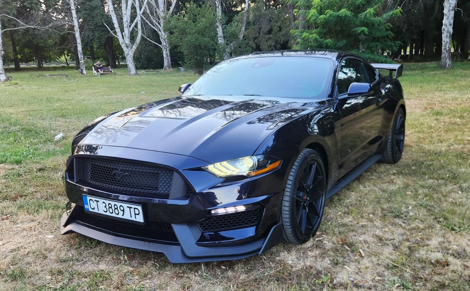 Ford Mustang 5.0 GT GT350 пакет