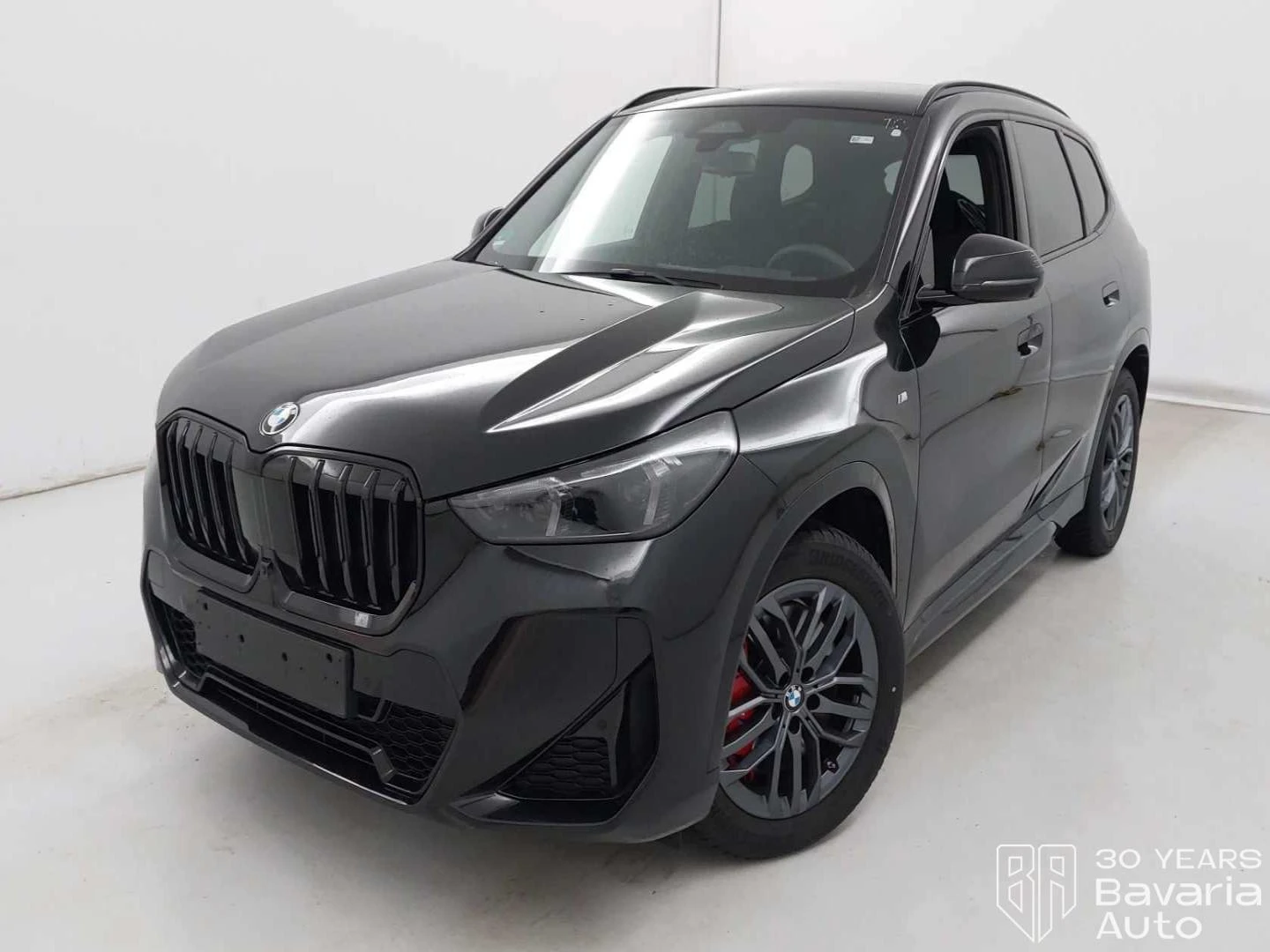 BMW X1 23d xDrive M Sport Paket Steptronic