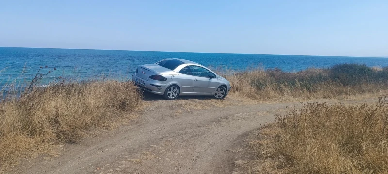 Peugeot 307 2.0 136, снимка 3 - Автомобили и джипове - 47183122