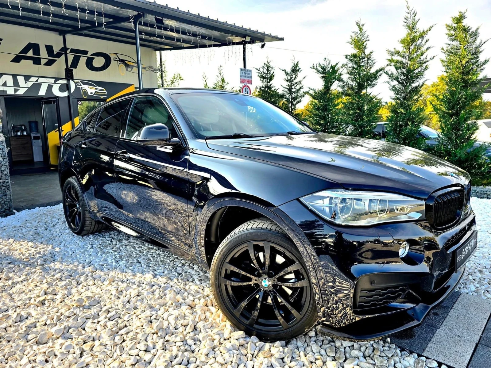 BMW X6 3.0D XDRIVE FULL M PACK RECARO ЛИЗИНГ 100% - изображение 5