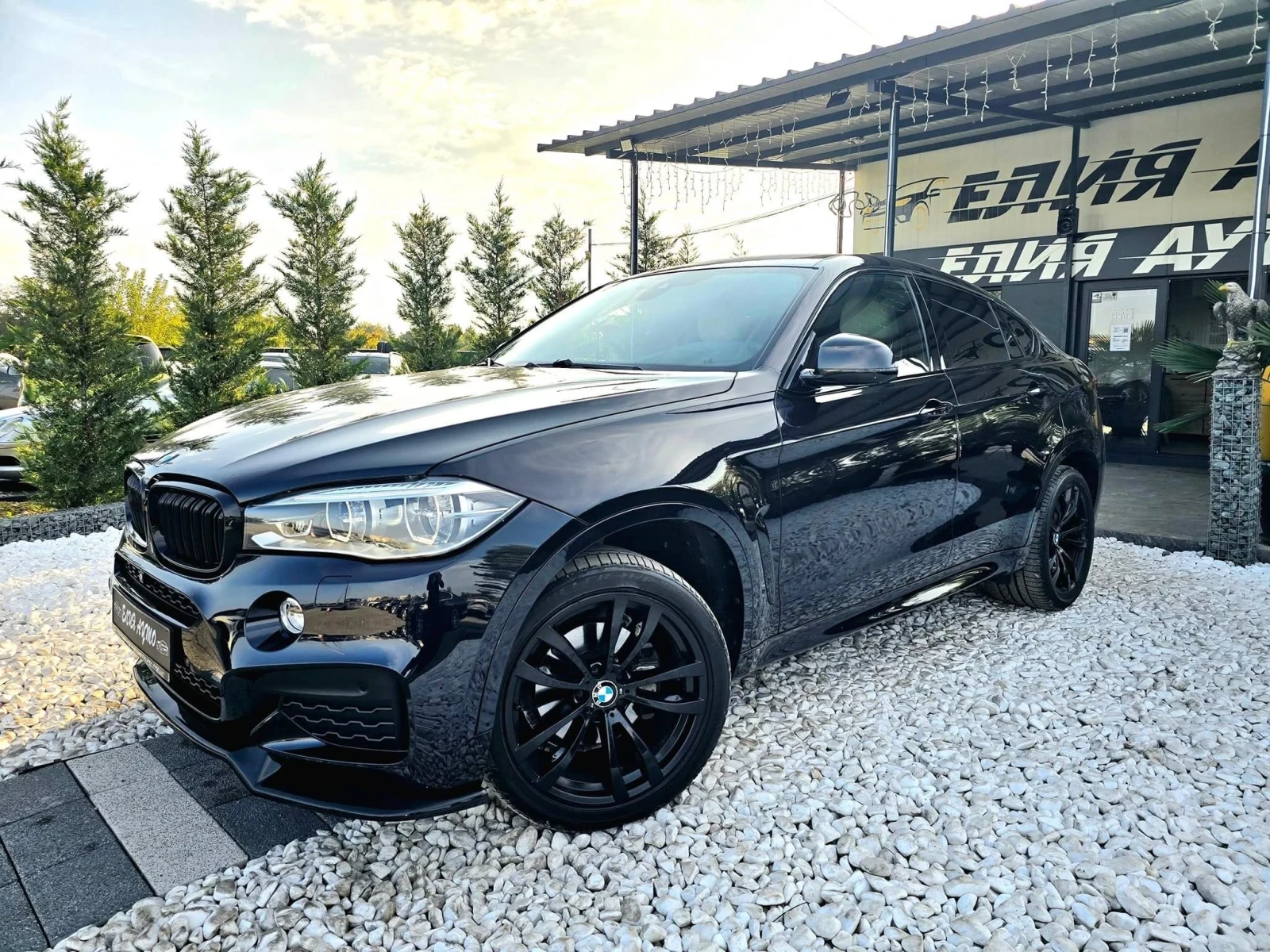 BMW X6 3.0D XDRIVE FULL M PACK RECARO ЛИЗИНГ 100% - изображение 2