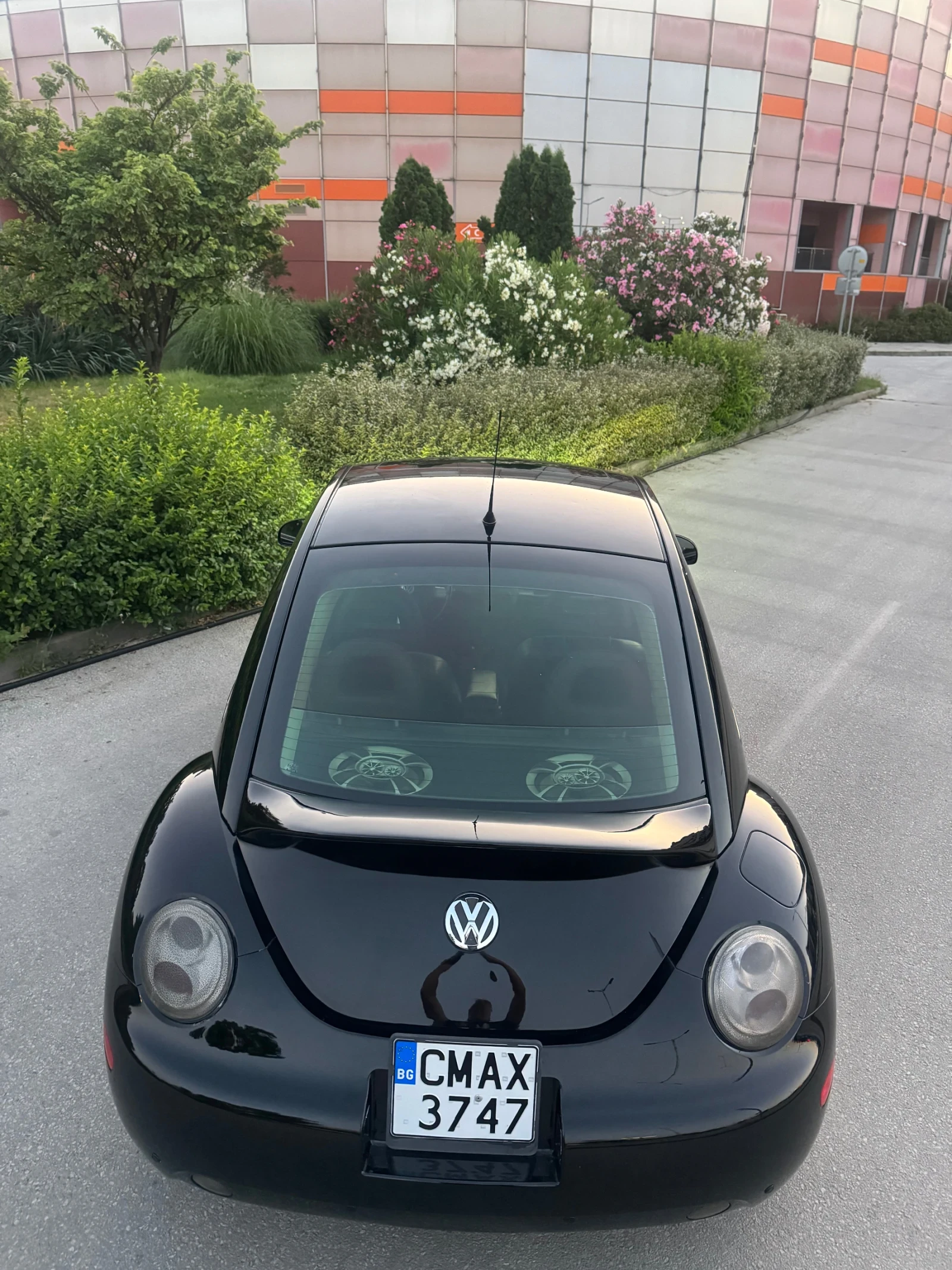 VW Beetle  - изображение 8