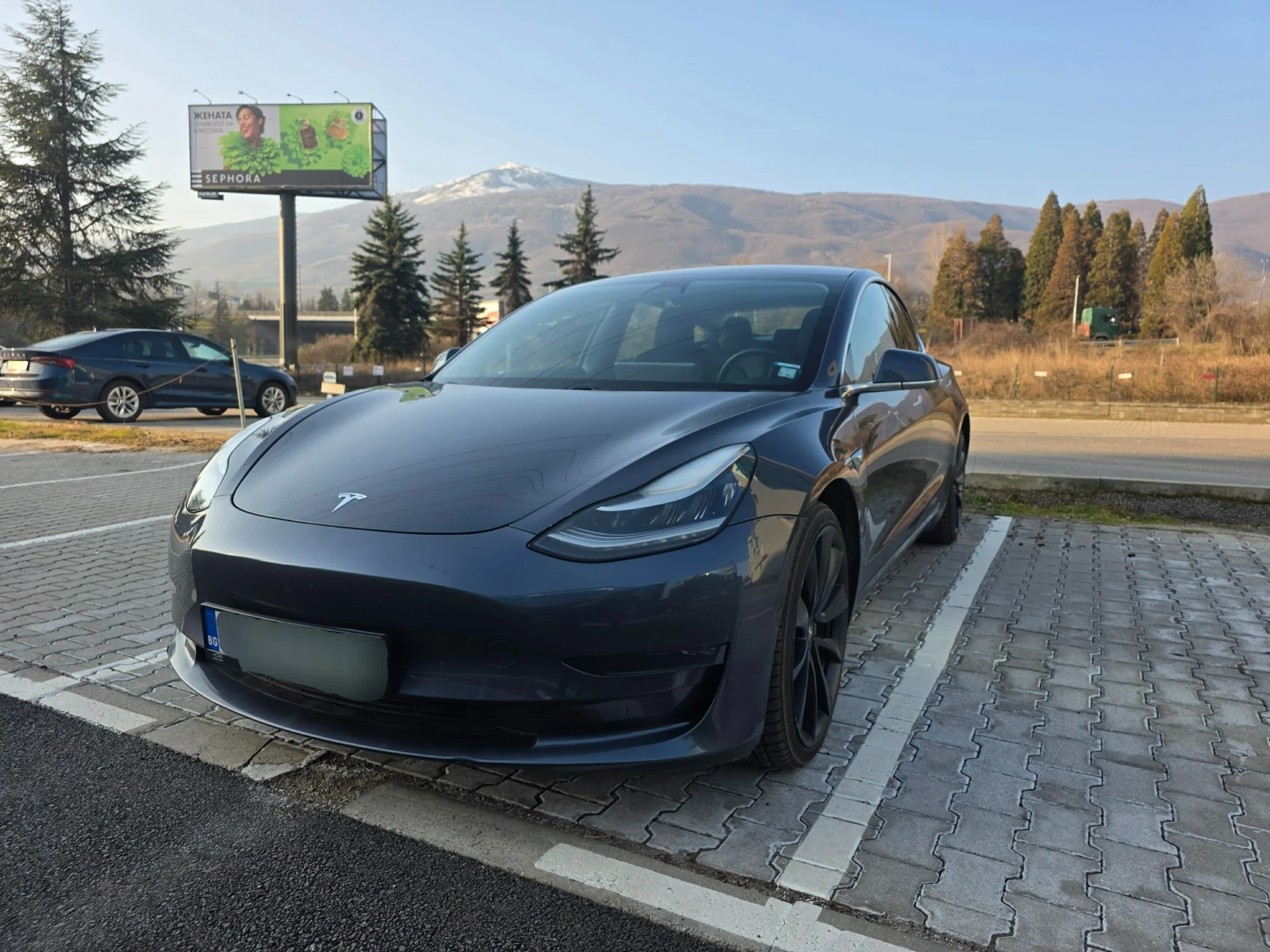 Tesla Model 3 Performance