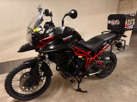  Triumph Tiger