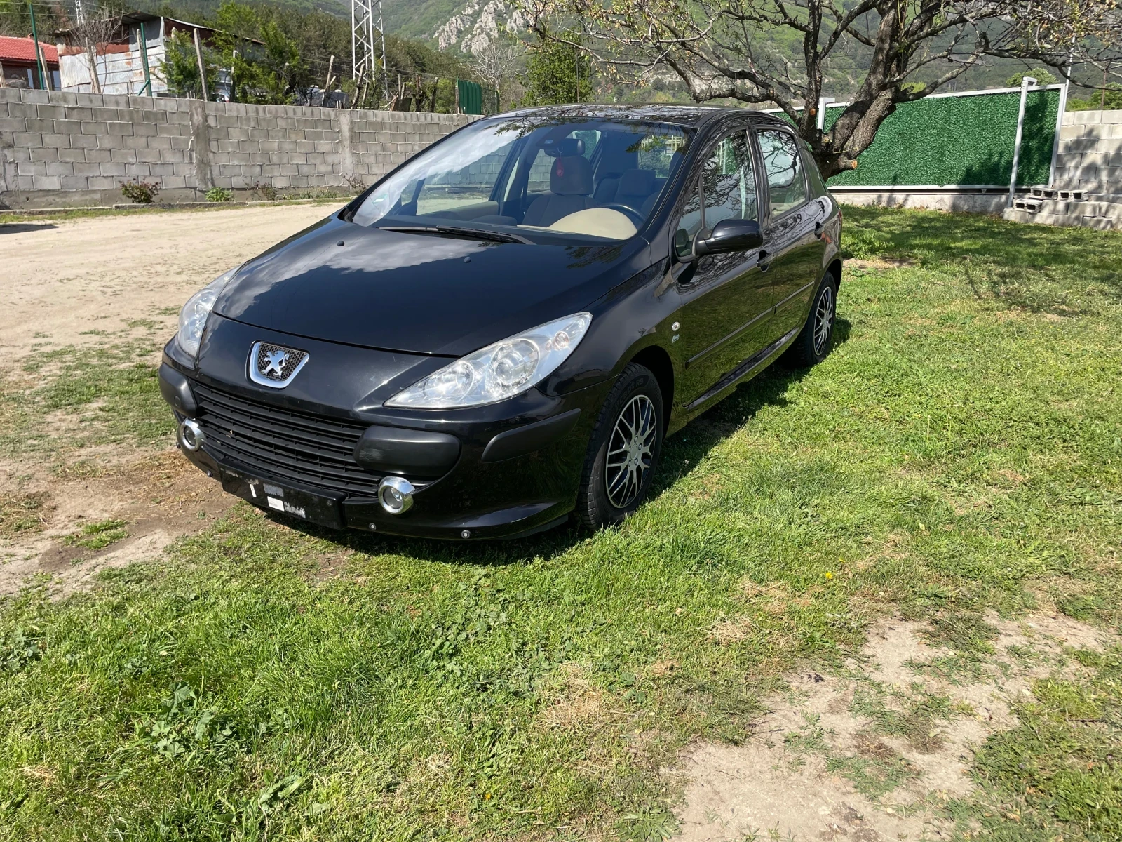 Peugeot 307 2.0 SW, снимка 1