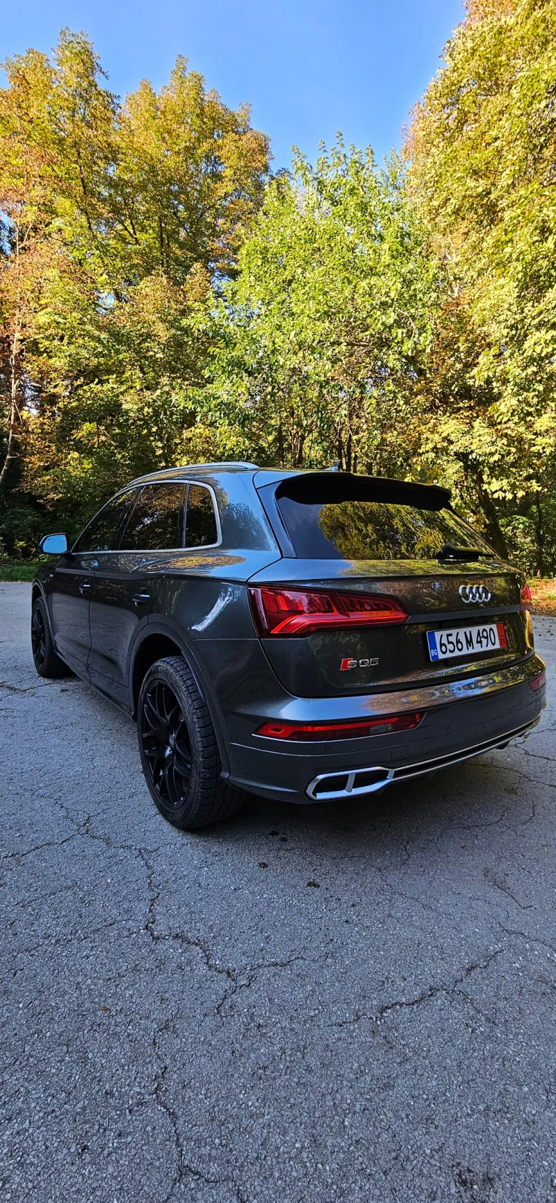 Audi SQ5, снимка 4 - Автомобили и джипове - 47440779