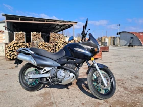 Suzuki XF, снимка 2