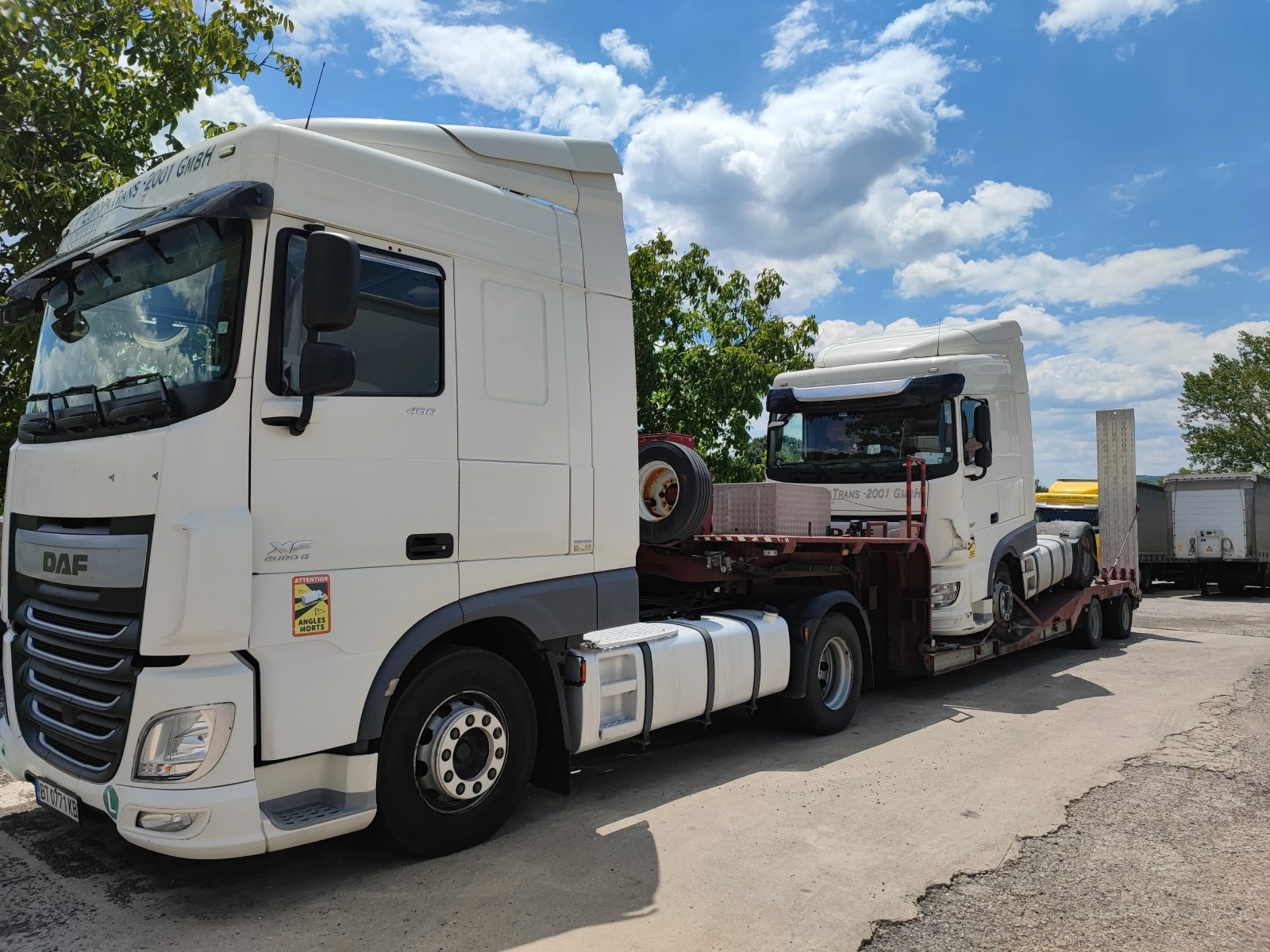  /Schoerle | Mobile.bg   1