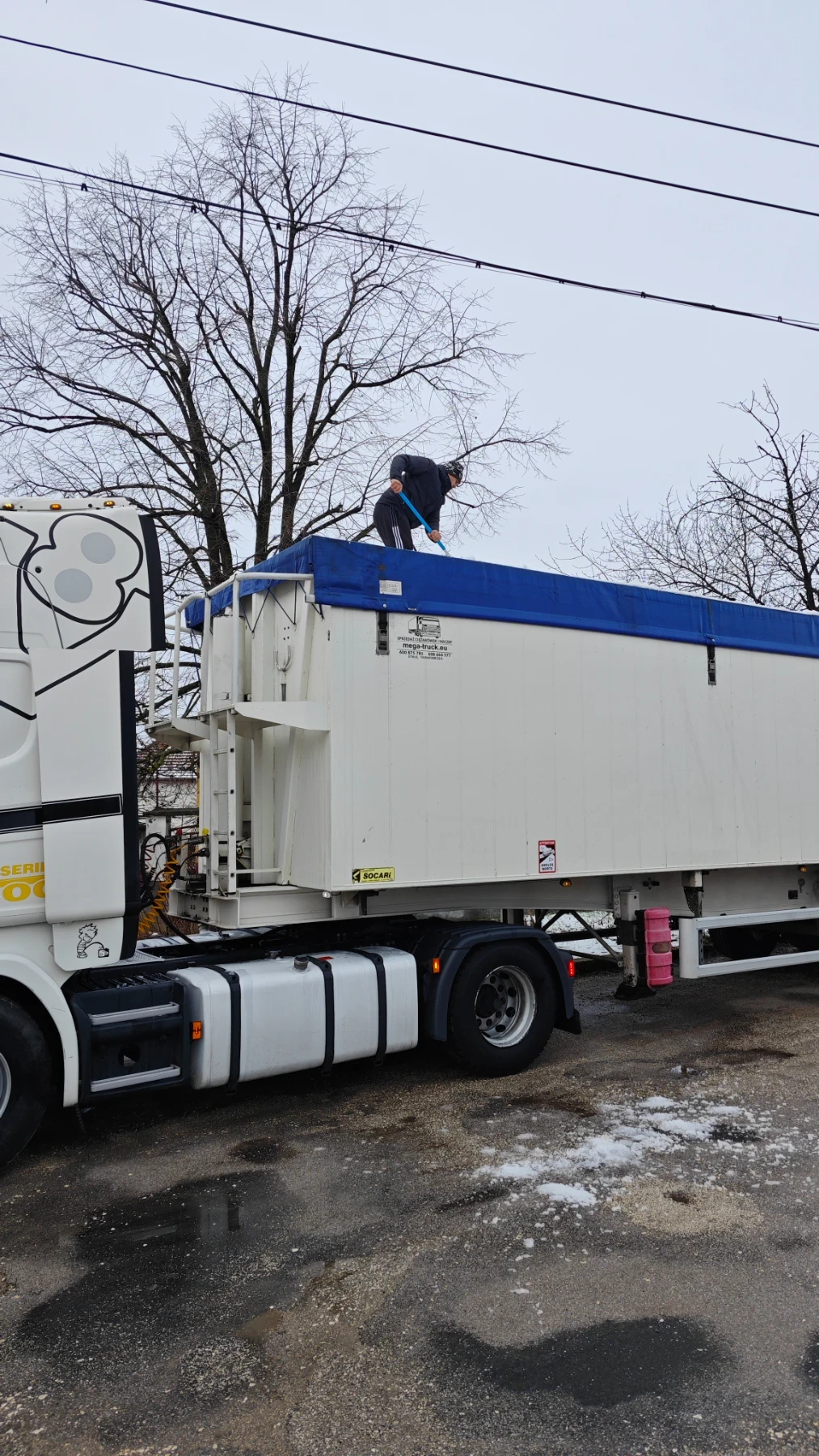  Benalu | Mobile.bg   8