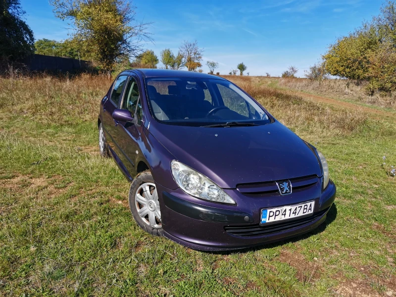 Peugeot 307 2.0 HDI, снимка 3 - Автомобили и джипове - 47649924