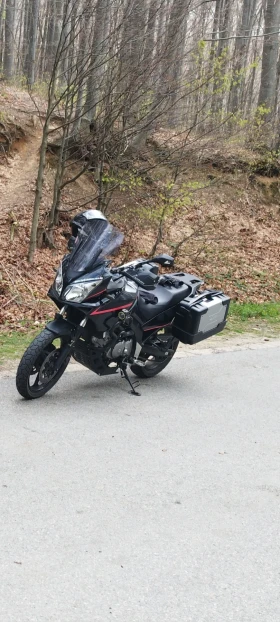 Suzuki V-strom 650, снимка 1