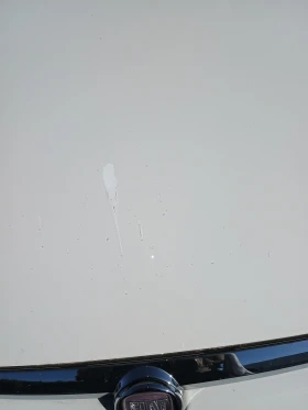 Fiat Punto EVO - 3370 € / 6591.15 лв. - 41825977 7