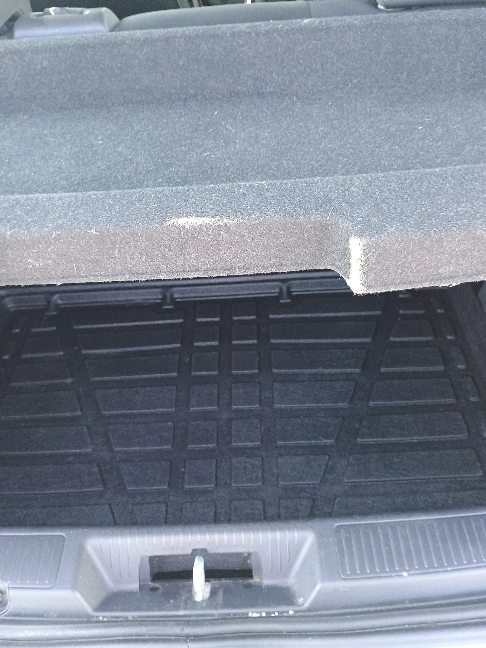 Fiat Punto EVO | Mobile.bg � ����������� 2