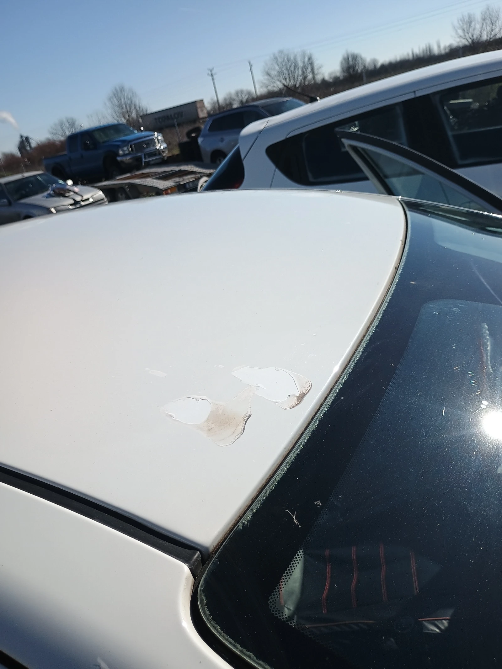 Fiat Punto EVO | Mobile.bg � ����������� 8