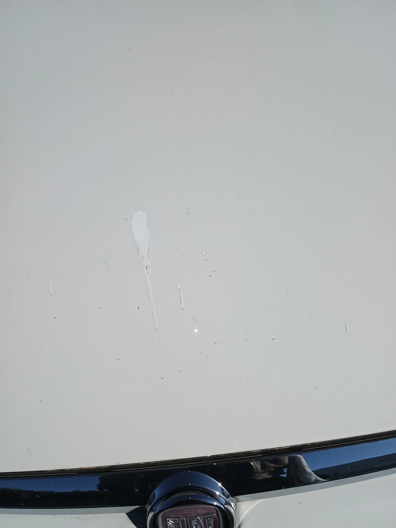 Fiat Punto EVO | Mobile.bg � ����������� 7