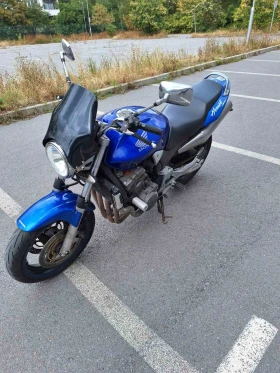  Honda Hornet