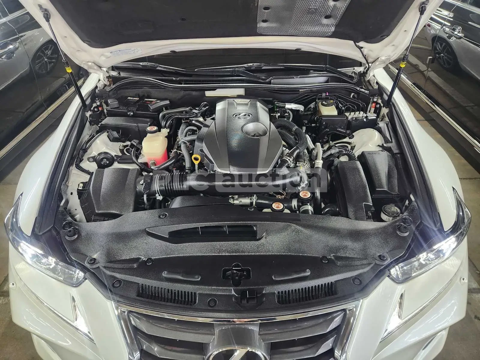 Lexus IS 300 ������| �����| ����| ���.��������� | Mobile.bg � ����������� 15
