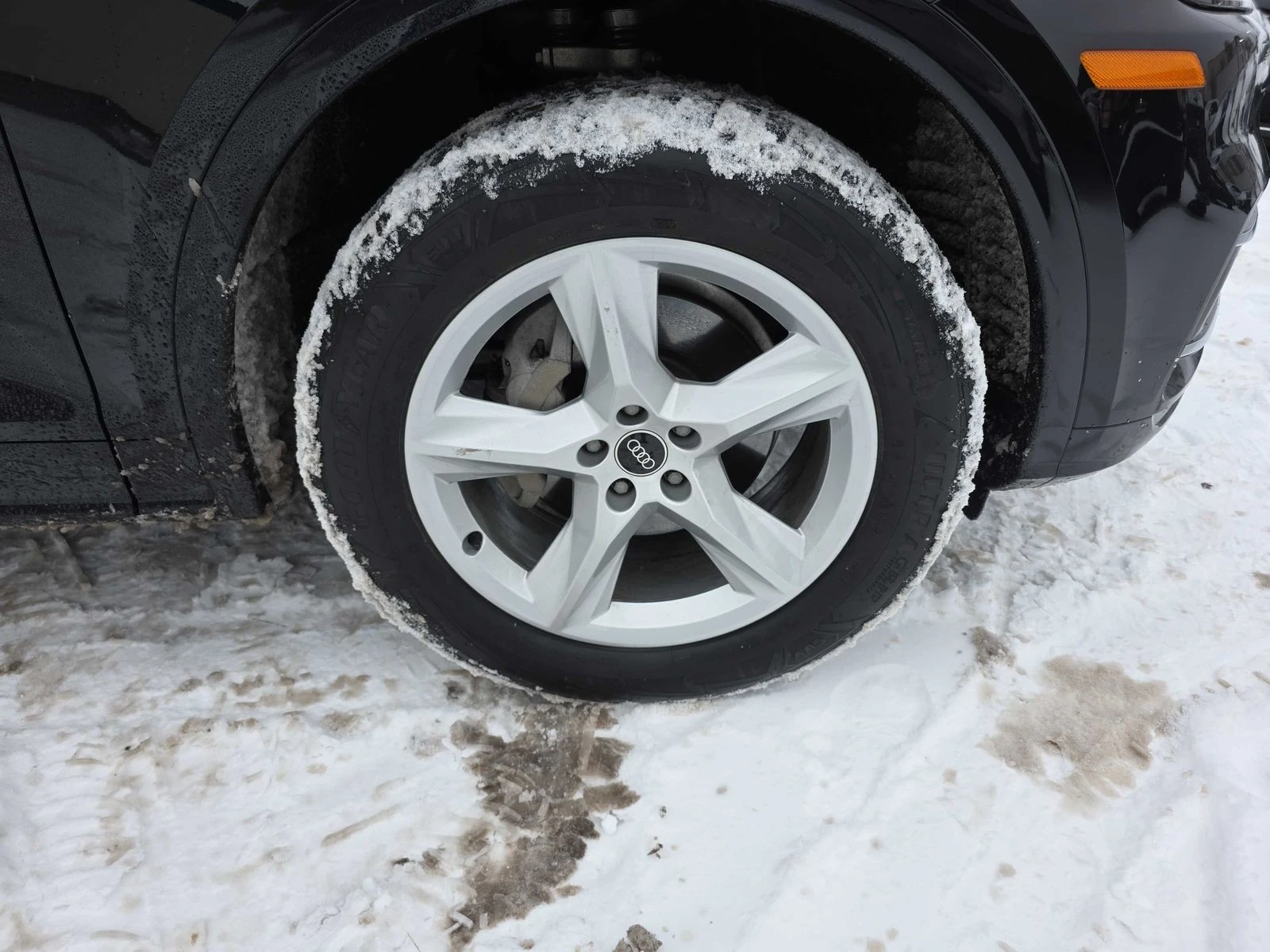 Audi Q5 TECHNIK CARFAX АВТО КРЕДИТ  - изображение 9