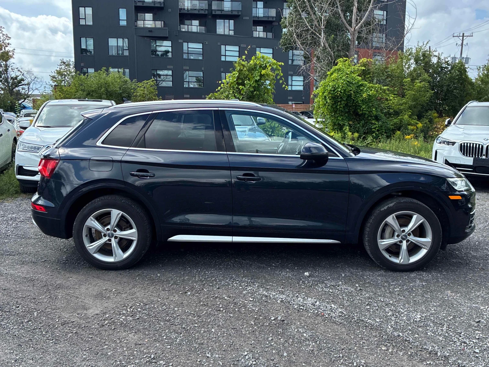 Audi Q5 * Progressiv * CARFAX * ОПЦИЯ ЗА ФИНАНСИРАНЕ, снимка 3 - Автомобили и джипове - 55839719