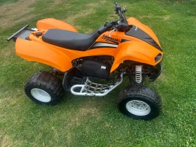 Kawasaki Kfx 700  - изображение 1