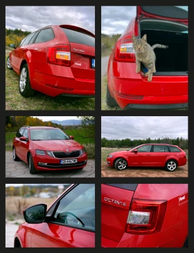 Skoda Octavia 2.0 TDI | Mobile.bg    15