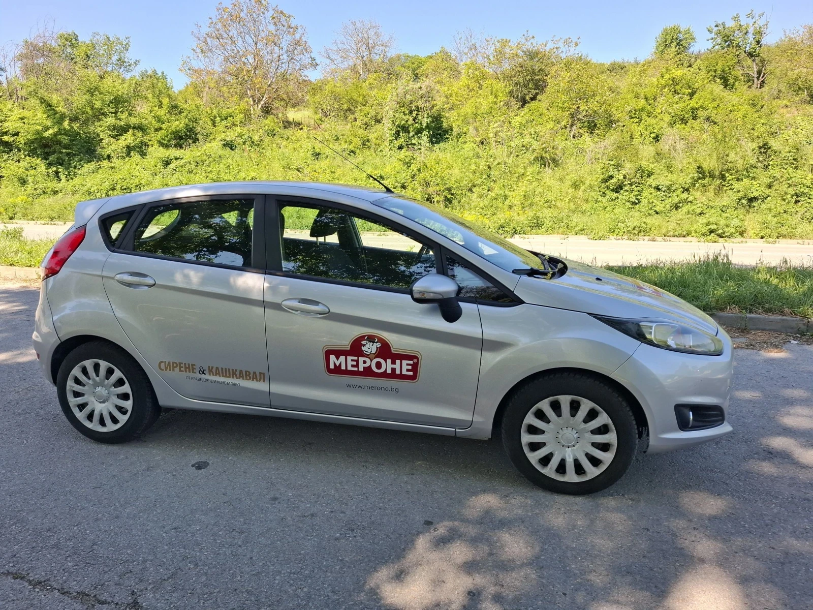 Ford Fiesta N1 - изображение 6