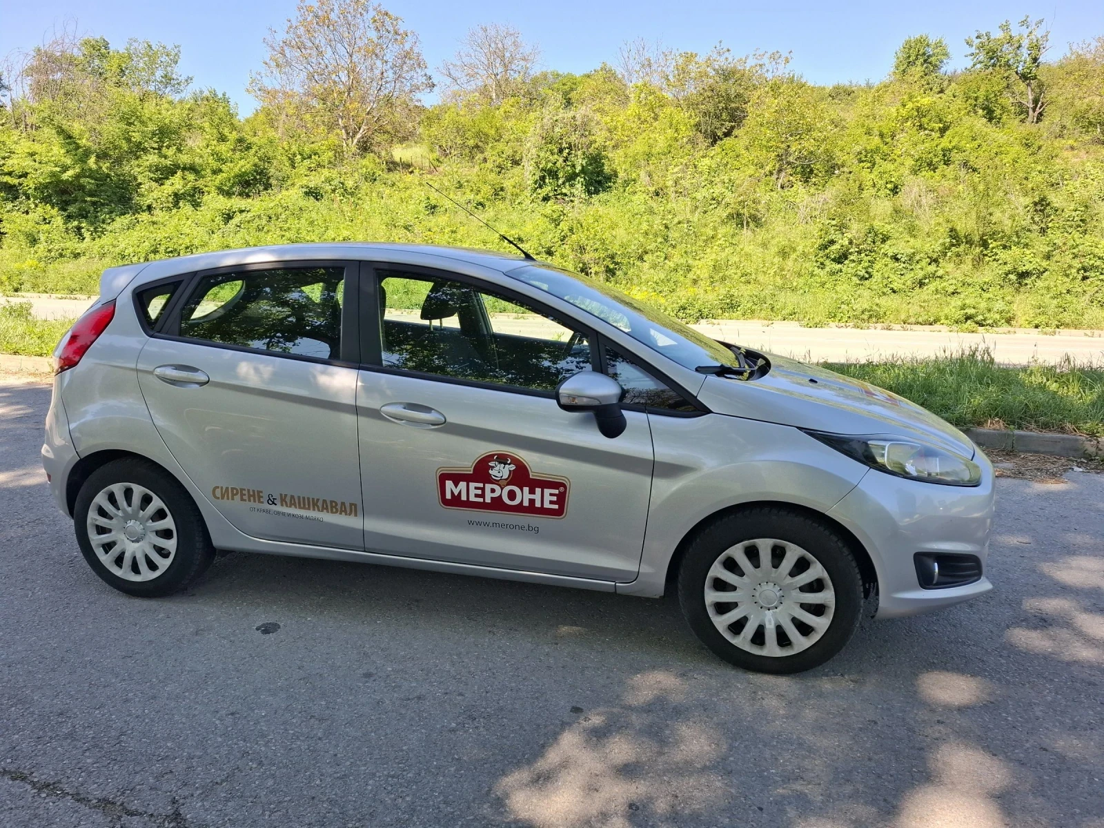 Ford Fiesta N1 - изображение 2