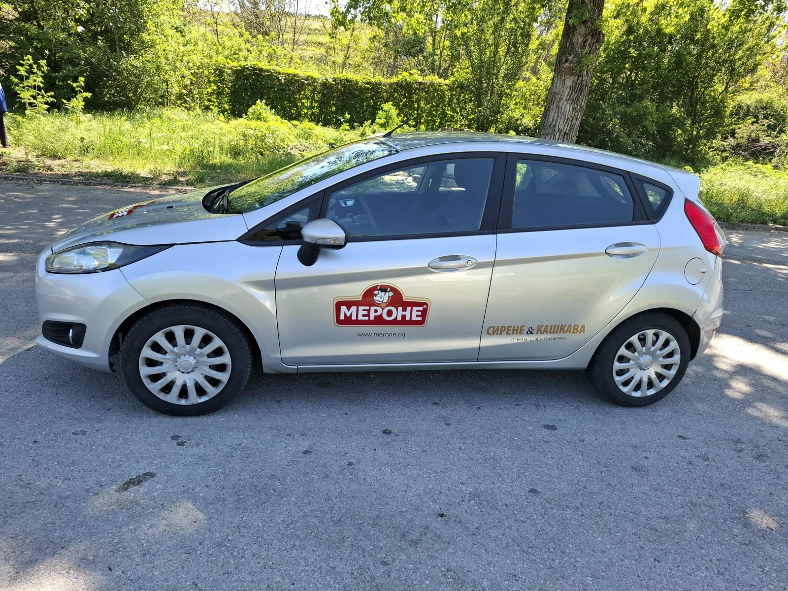 Ford Fiesta N1 - изображение 5