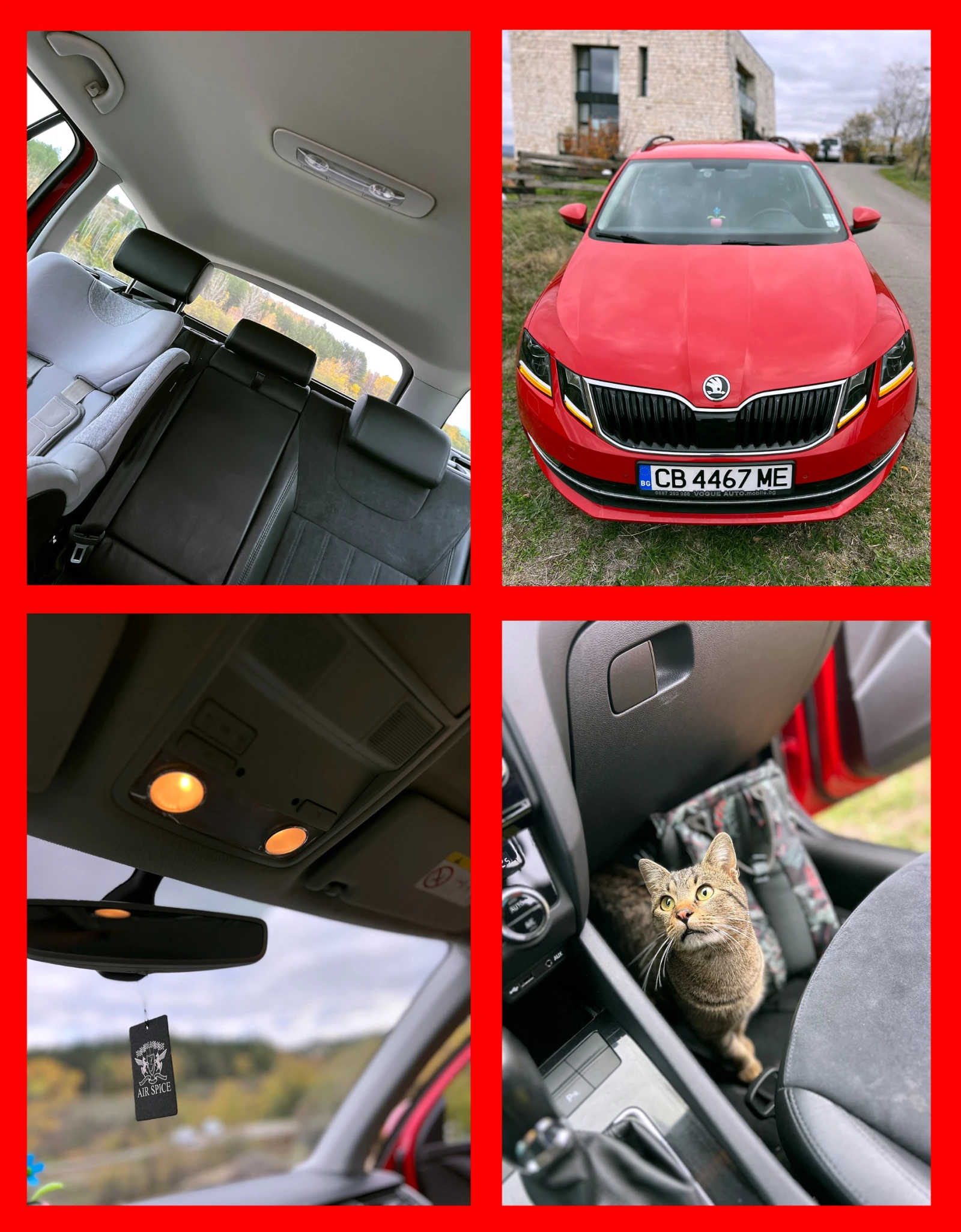 Skoda Octavia 2.0 TDI | Mobile.bg   16