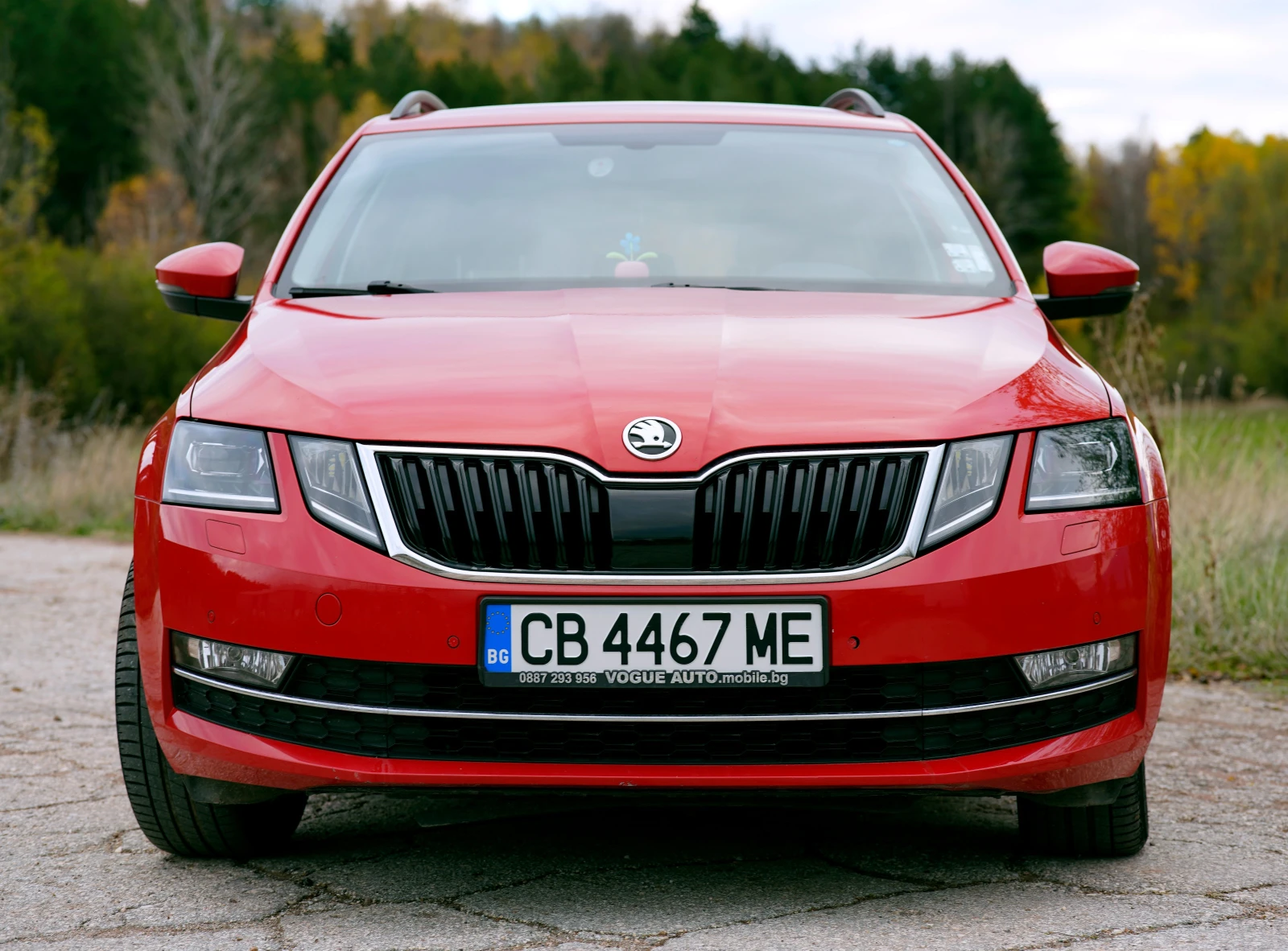 Skoda Octavia 2.0 TDI | Mobile.bg   2
