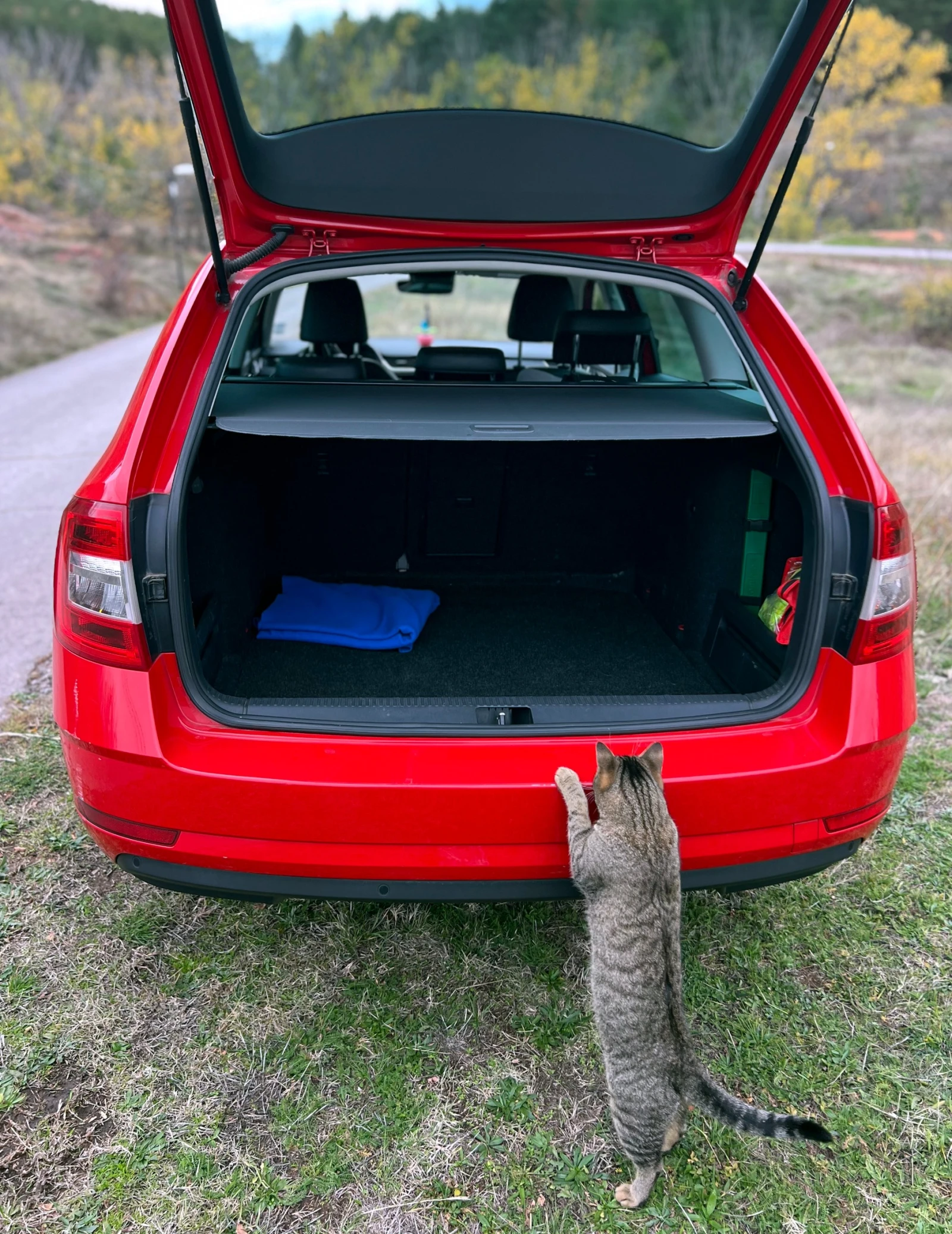 Skoda Octavia 2.0 TDI | Mobile.bg   5