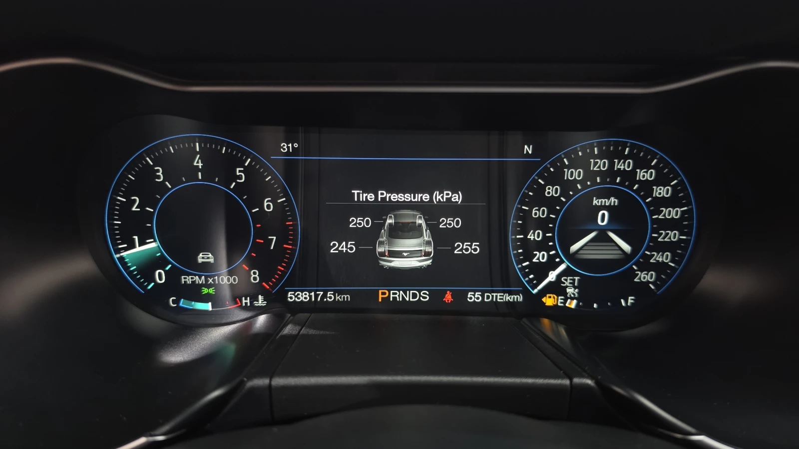 Ford Mustang Coupe 2.3 Ecoboost autogeorge.com, снимка 12 - Автомобили и джипове - 56182505