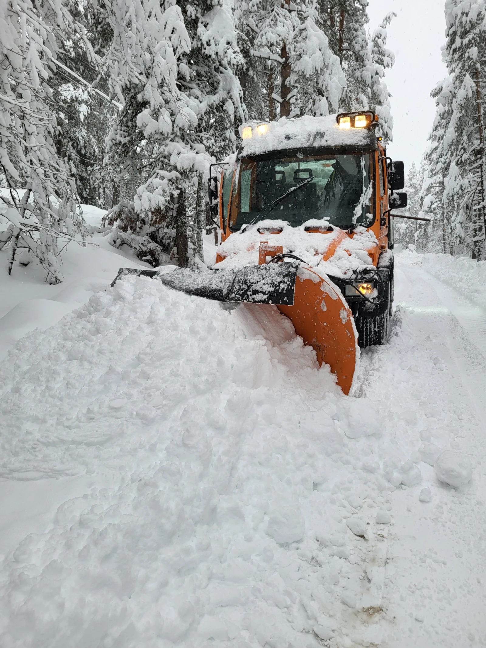 Mercedes-Benz UNIMOG U400 4x4       | Mobile.bg   15